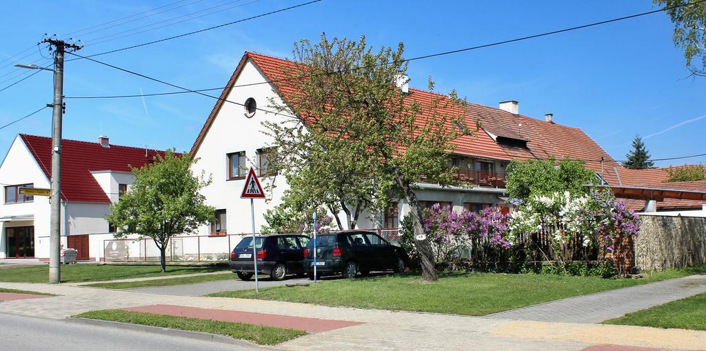 Ubytovani U Vojtesky Pasohlavky Exterior photo
